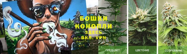 a pvp Богородицк