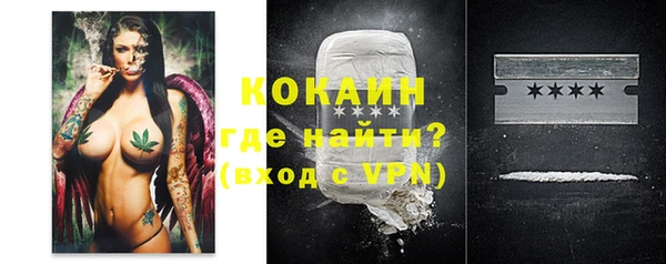 ГАЛЛЮЦИНОГЕННЫЕ ГРИБЫ Белокуриха