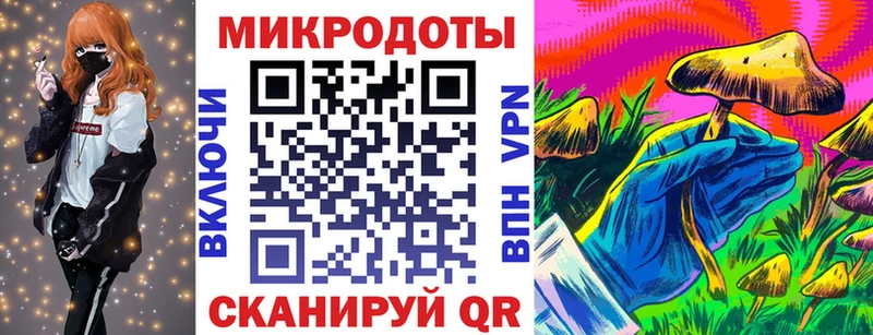 Галлюциногенные грибы Psilocybe shop формула Ставрополь